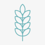 agricultura